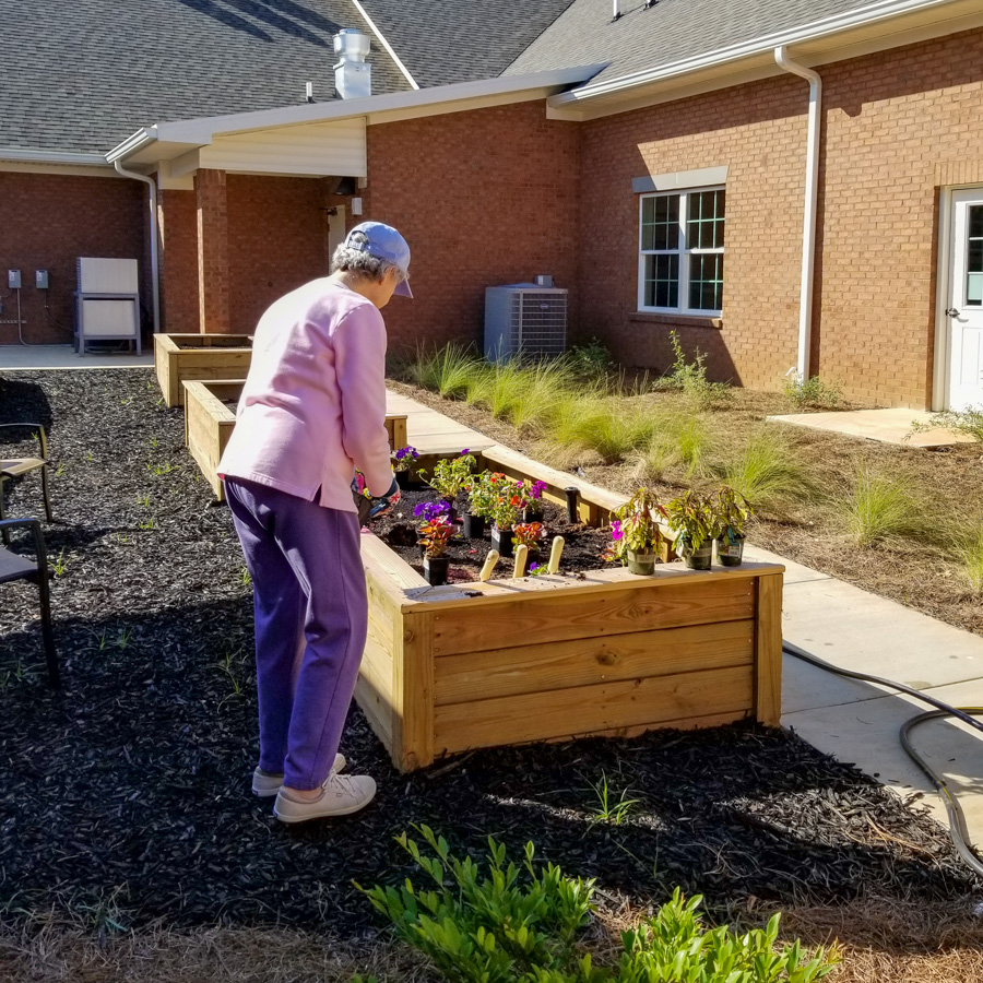 First assisted living planter planted